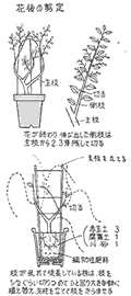 u[QrA}