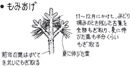 ̂ݏグ