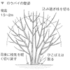EoC̐p