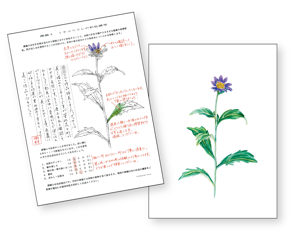 朱書きのアドバイスが添えられた添削済みの課題作品1