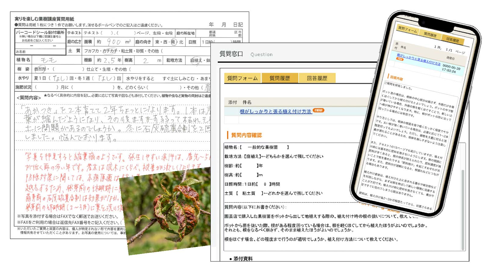 質問への回答が書かれた用紙と画面