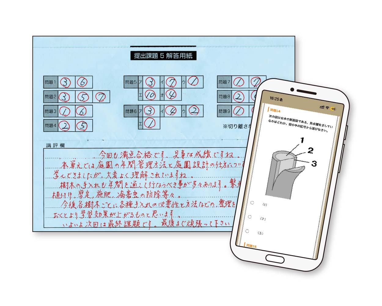 実りを楽しむ果樹講座の課題添削資料（オンライン・郵送対応）の例