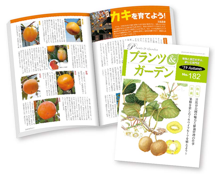 協会会員誌『プランツ＆ガーデン』の表紙