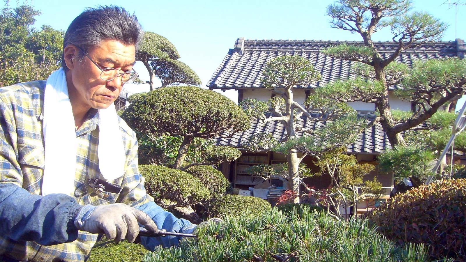 庭師の仕事をする修了生