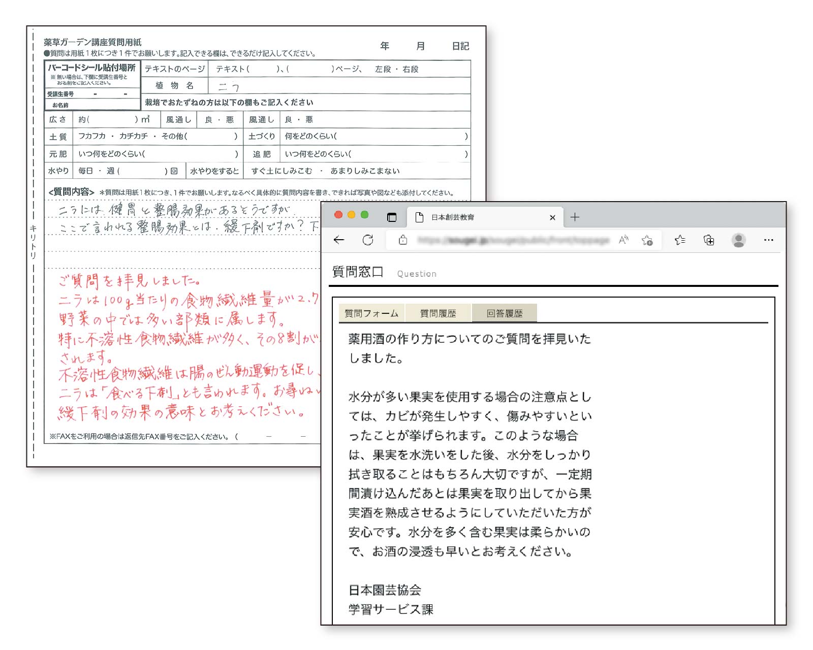 薬草ガーデン講座の質問回答資料（オンライン・郵送対応）の例
