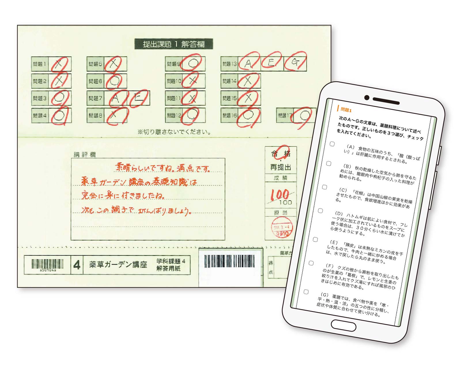 薬草ガーデン講座の課題添削資料（オンライン・郵送対応）の例