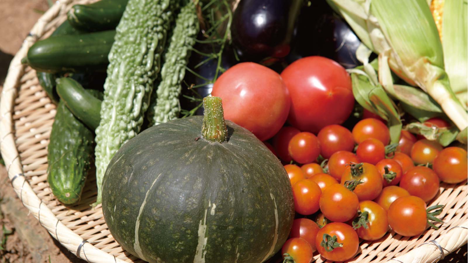 トマトやナス、ダイコンなど収穫した野菜を並べたカゴ