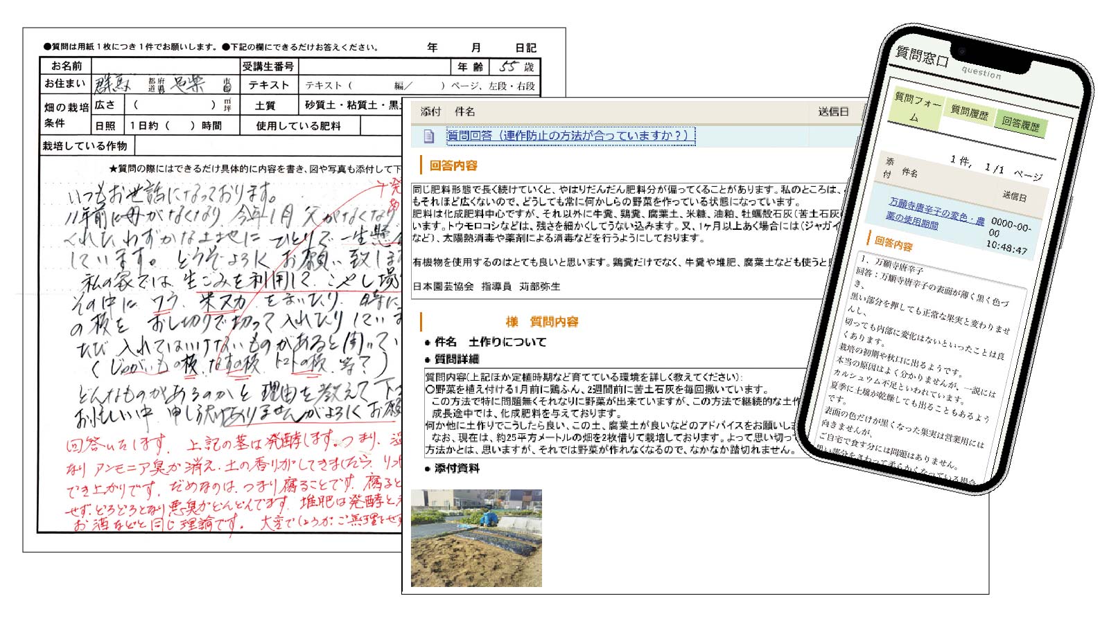 添削された課題と、質問への回答が書かれた用紙