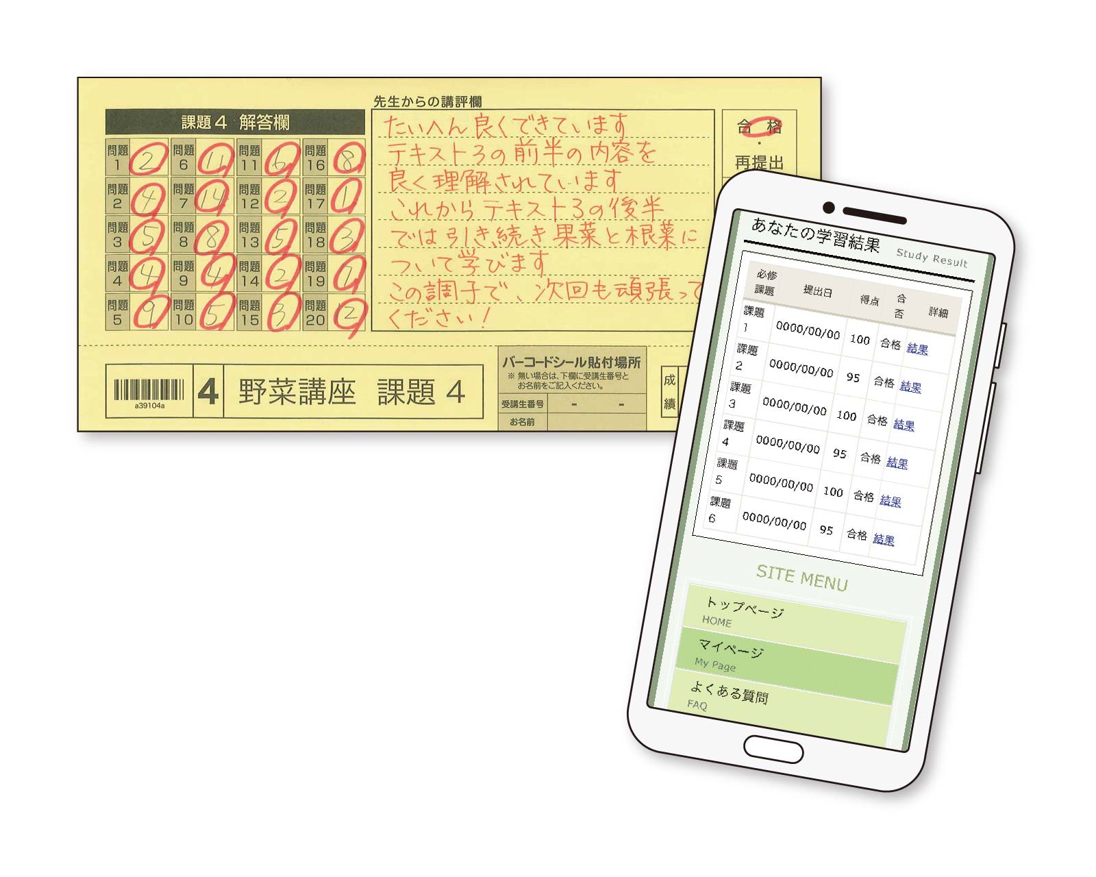 野菜づくり講座の課題添削資料（オンライン・郵送対応）の例