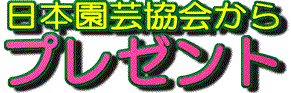 {|v[g
