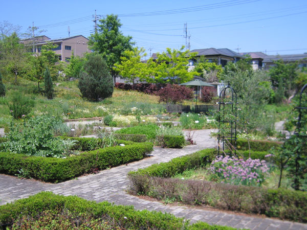薬香草園ハーブガーデン